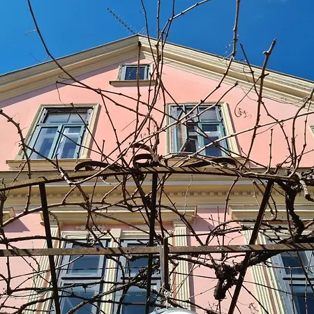 Vila Blueberry Hétvégi ház *