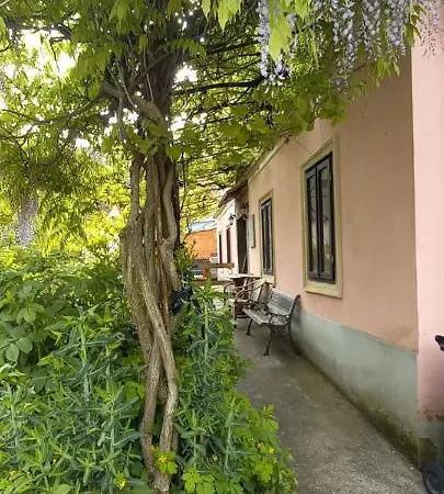 Vila Blueberry Vrhnika